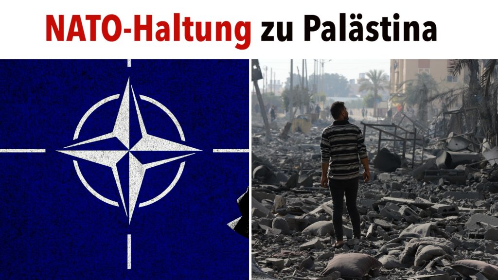 NATO-Parlamentarier weigern sich, den Wert des palästinensischen Lebens anzuerkennen