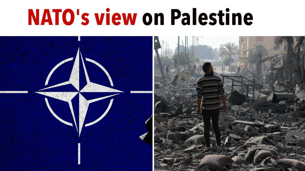 NATO Parliamentarians Refuse To Acknowledge Value of Palestinian Lives